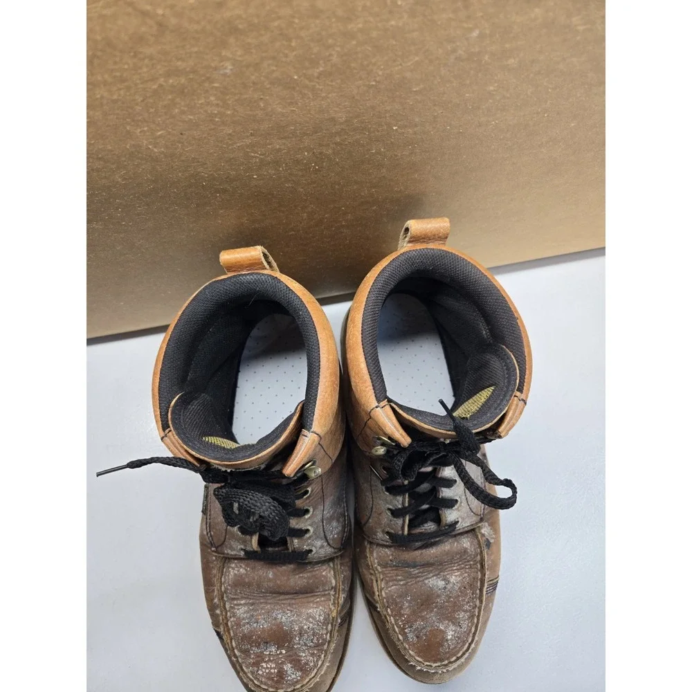 Irish Setter red wing